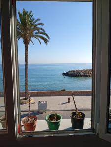 a window with a view of the ocean and a palm tree at Appartement vue sur mer à Mahdia in Mahdia