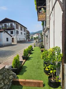 a row of potted plants on the side of a street at Hotel SPA Atxaspi in Lesaka +48 photos