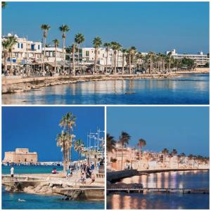 a collage of photos of a beach with palm trees at Ev Zin - Modern, cozy, 1 bed, pool, 2 balconies, A105 in Nea Paphos