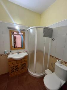 a bathroom with a shower and a toilet and a sink at Susa and Pepe garden and house in Agaete