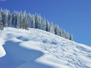a snow covered hill with trees in the background at Chalet in Saalbach near Ski Lift in Saalbach Hinterglemm