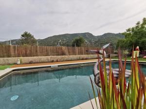 a swimming pool with a plant in front of it at Mon paradis in Maubec