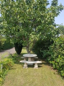 Una mesa de picnic de piedra frente a un árbol en independent apartment in house with 3 bedrooms, en Aubière