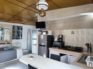 a kitchen with a stainless steel refrigerator and a table at Sabina villa in Pereybere