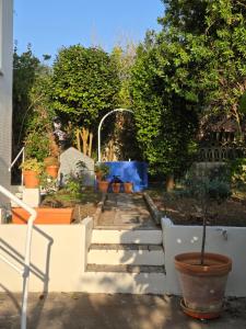 a garden with stairs and potted plants and trees at Casa frente al mar in Valdoviño +31 photos
