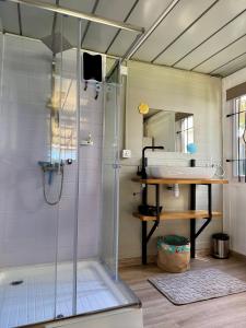 a bathroom with a shower and a sink at Tilakaz Kreol in Pointe d'Esny +12 photos
