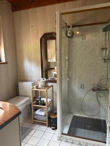 un baño con ducha y WC en Chalet Le DRUZIA at 1000 m, en Belfahy 27 fotos más