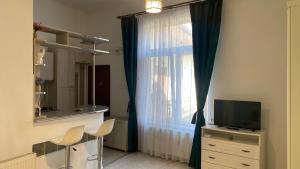 a living room with a window and a television at Arctic Studio in Braşov
