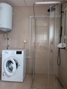 a bathroom with a washing machine and a shower at Mona apartman in Žabljak