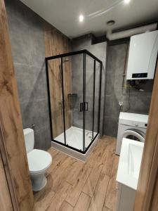 Ένα μπάνιο στο Apartament Centrum 2