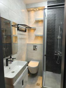 a bathroom with a toilet and a sink and a shower at Gori APARTAMENTI 74 in Gori +9 photos