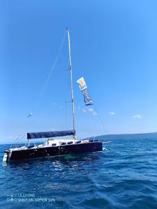 a sailboat in the ocean on the water at Starship JSAILING in Mošćenička Draga