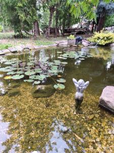 Photo de la galerie de l'établissement Norbi Vendégház, à Balatonszárszó