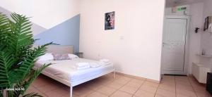 a bedroom with a white bed and a plant at Maria's Studio No3 in Heraklion in Thérissos