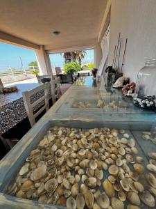 a table with a bunch of shells on it at La casa del vento Stagnone in Marsala +12 photos