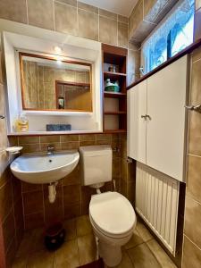 a bathroom with a toilet and a sink at Piccolo Paradiso in Chiusanico