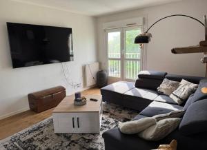 a living room with a couch and a tv at Le petit nid douillet in Saint-Herblain