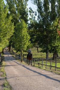 a man riding a horse down a road at Hotel Apartamento Los Villares in Los Villares de Soria