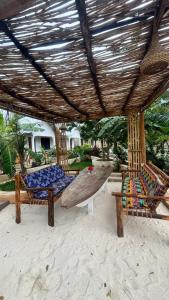 O grădină în afara MARGOSA bungalow, ZANZIBAR
