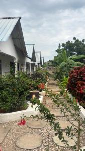 O grădină în afara MARGOSA bungalow, ZANZIBAR