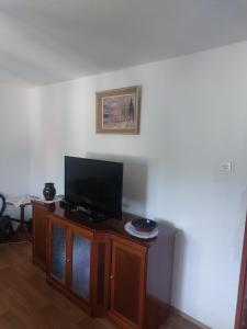 TV a/nebo společenská místnost v ubytování House in Zabljak city center