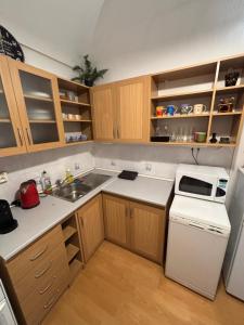 a small kitchen with a sink and a refrigerator at DH Duomo V BIG Party apartment 12 people in Košice