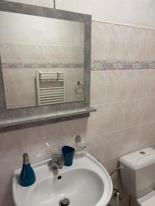 a bathroom with a sink and a mirror and a toilet at DH Duomo V BIG Party apartment 12 people in Košice +21 photos