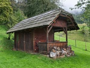 eine kleine Holzhütte mit Dach auf einem Feld in der Unterkunft Chalet in Arriach near Gerlitzen Ski Area in Arriach