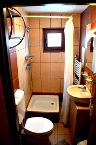 A bathroom at Pension Garofita