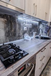 a kitchen with a stove and a sink at Tiki's Bar studio in Bucharest