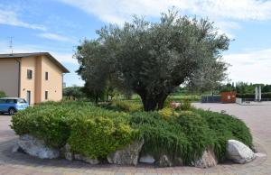 Ogród w obiekcie Agriturismo Ca' Del Gal