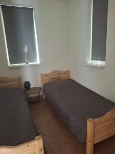 a bedroom with two beds and two windows at Huisje Finn, met grote tuin en veel privacy in Dirkshorn