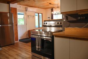 Η κουζίνα ή μικρή κουζίνα στο Chalet Vallée Bras-du-Nord I +14 φωτογραφίες