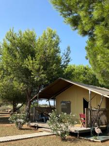 a small house with a porch and a tree at Les Lodges Saint Pierre in Cap d'Agde