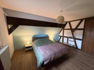 a bedroom with a bed and a ladder at Charming Alsatian house in Beinheim
