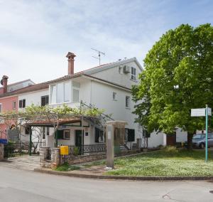 une maison blanche avec un arbre en face dans l'établissement Apartment Darko, à Rovinj