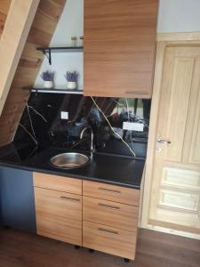 a kitchen with a sink and wooden cabinets at Spa villas Higo in Žabljak