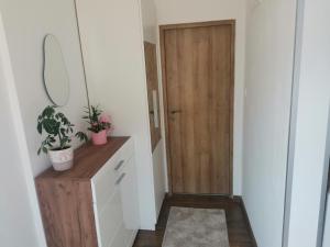 a hallway with a door and a table with plants at Apartman Maša in Otočac
