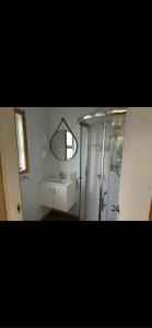 une salle de bains avec douche, lavabo et miroir dans l'établissement Lake Maraetai Escape, à Mangakino