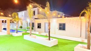 a house with palm trees in the yard at night at Nexus Luxury Lodge in Springs