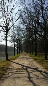 a dirt road with trees on either side of it at Ferienwohnung Reitz Urlaub In Der Heimat Der Brüder Grimm in Fritzlar