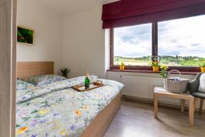 a bedroom with a bed and a window at Hotel Zlechov in Plumlov +63 photos