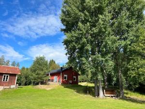 a red barn with a tree in front of it at Adventure Guesthouse Sweden in rural area Sunne in Sunne