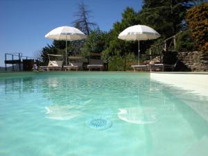 ein Pool mit zwei weißen Sonnenschirmen in der Unterkunft Farmhouse in Cortona in Cortona