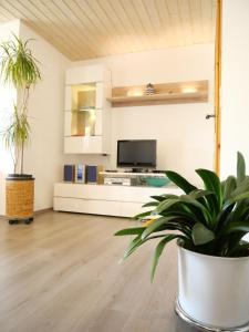 un salon avec une télévision et une plante en pot dans l'établissement Ferienwohnung mit Entspannungserlebnis im Garten mit Terrasse, à Wildpoldsried