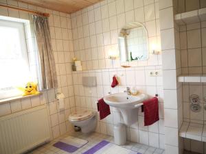 une salle de bain avec un lavabo, des toilettes et un miroir dans l'établissement Ferienwohnung mit Entspannungserlebnis im Garten mit Terrasse, à Wildpoldsried 5 autres photos
