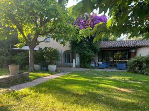 a house with a tree with purple flowers at Maison Espelida in Le Pradet