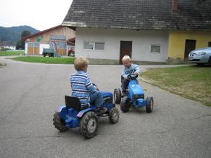 Hostia v ubytovaní Erlebnisbauernhof Urak
