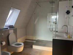 a bathroom with a toilet and a sink and a shower at City Rooms in Goch +30 photos