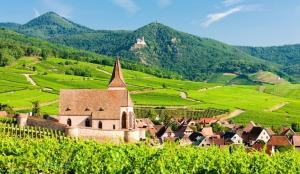 a small town in a vineyard with a church and mountains at chalet dans la ville in Sélestat